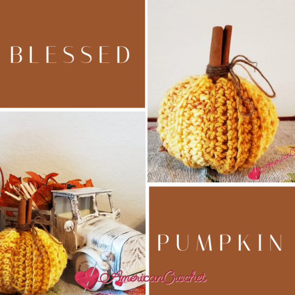 Blessed Pumpkin crochet pattern pin, American Crochet